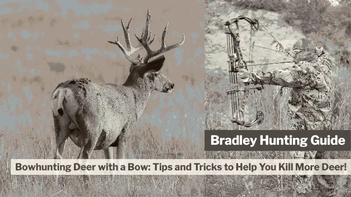 Hunting Tips — How to Kill a Deer image 1