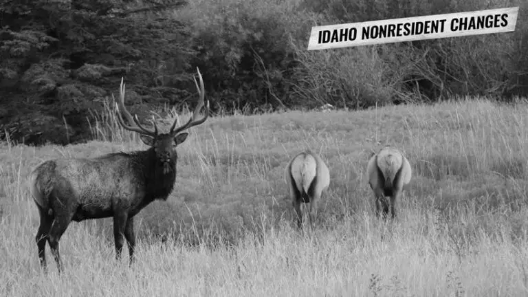 What Can You Hunt In The Summer In Idaho