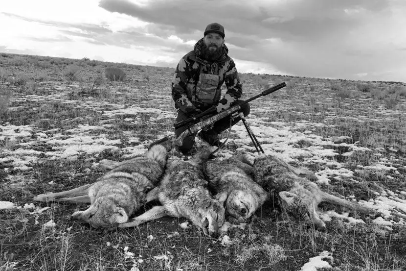 What is the Best Caliber For Hunting Coyotes? photo 0