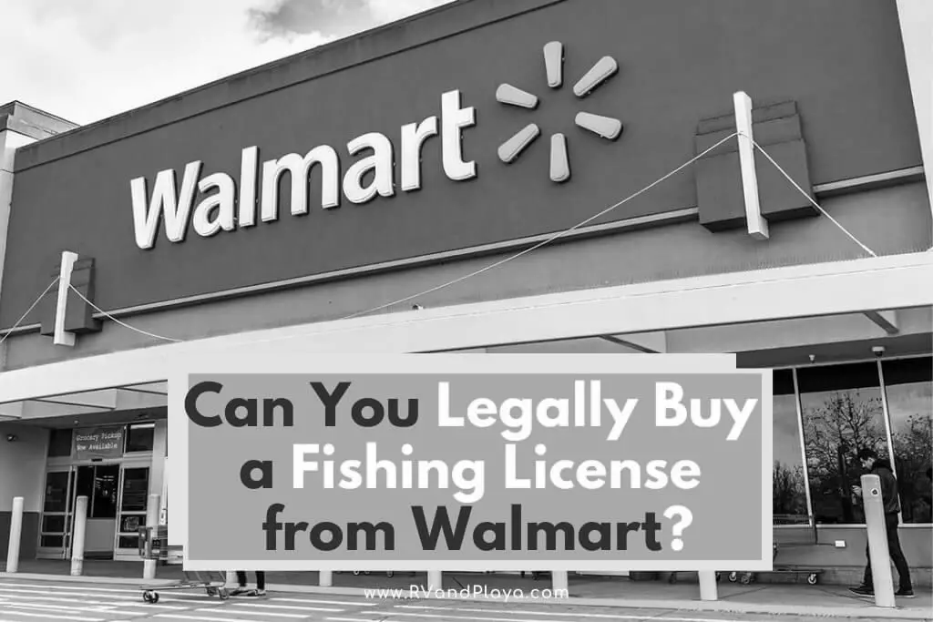 Does Walmart Issue Hunting Fishing Licenses? photo 0