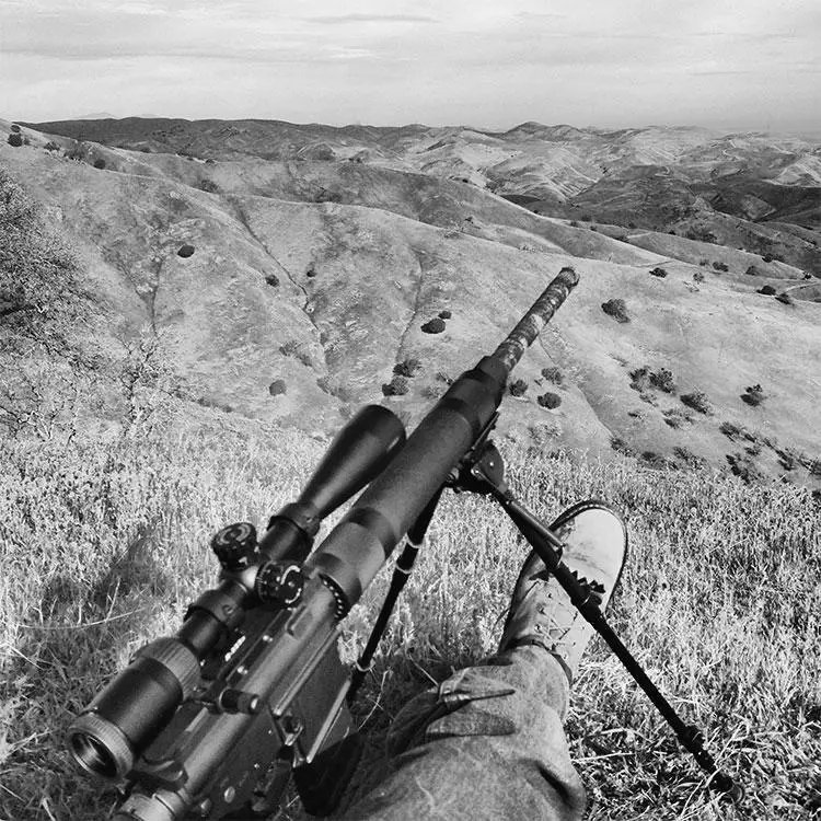 Hunting Deer With an AR-15 image 6