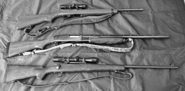 Photo What is a Good Beginner Gun For a Woman for Deer Hunting? 4 What is a Good Beginner Gun For a Woman for Deer Hunting? image 1