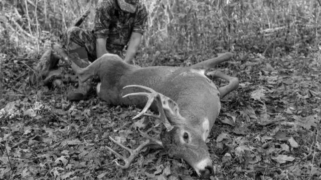 Can 9mm kill a deer
