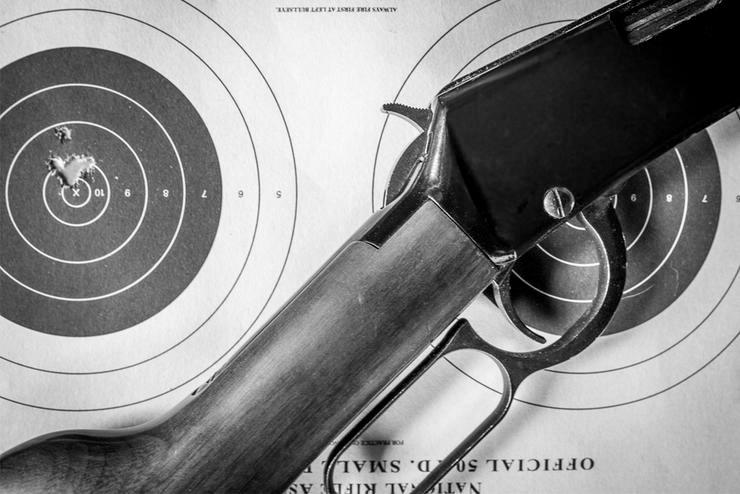 Photo Can a 9mm Carbine Kill a Deer? 24 Can a 9mm Carbine Kill a Deer? photo 6