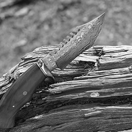 Image Can a Human Hunt Deer With Only a Knife? 20 Can a Human Hunt Deer With Only a Knife? photo 5