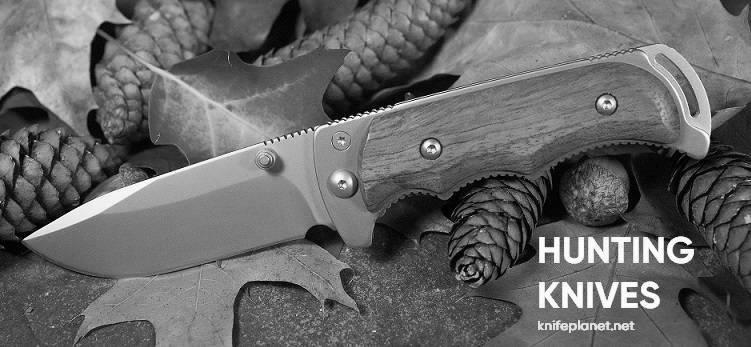 Photo Can a Human Hunt Deer With Only a Knife? 28 Can a Human Hunt Deer With Only a Knife? photo 7