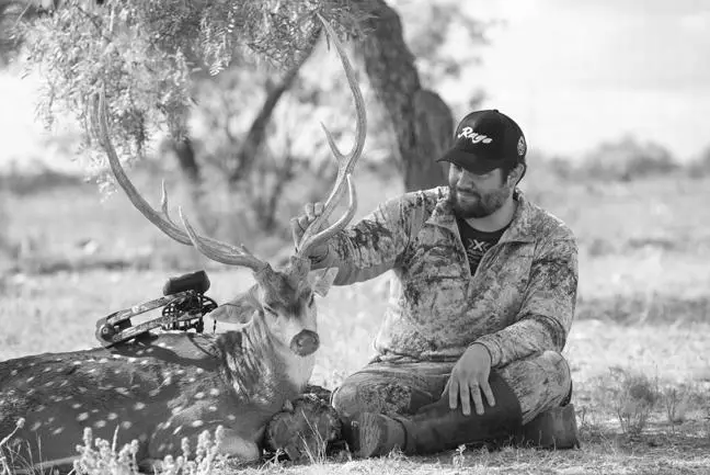 What is it Like to Hunt Deer in Texas? image 1