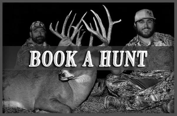 What is it Like to Hunt Deer in Texas? image 8