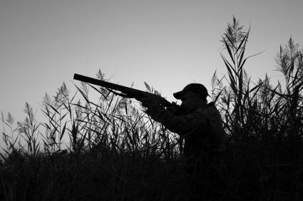 How Often Are Hunters Accidentally Shot by Other Hunters? image 1