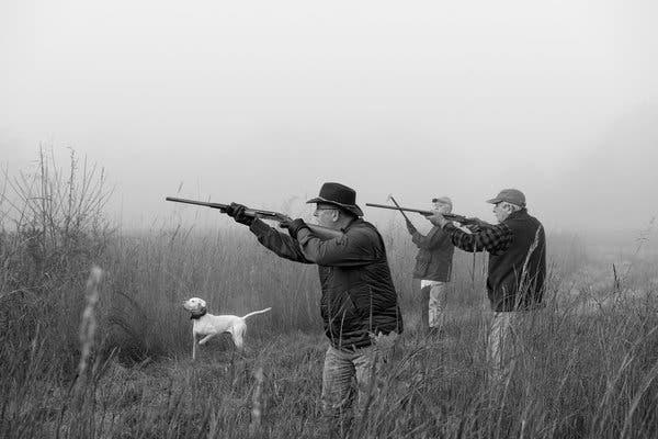 How Often Are Hunters Accidentally Shot by Other Hunters? image 9