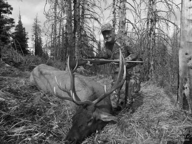 Habits of Successful Deer Hunters image 7