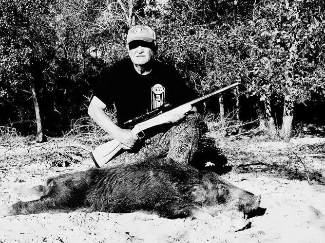 Why is Boar Hunting Not As Restricted As Deer Hunting? image 1