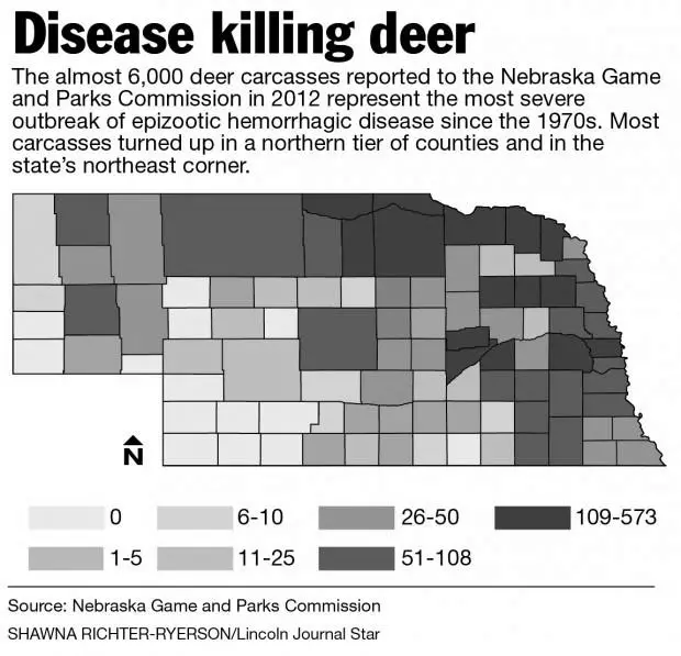 Deer Density in the Northeast photo 1