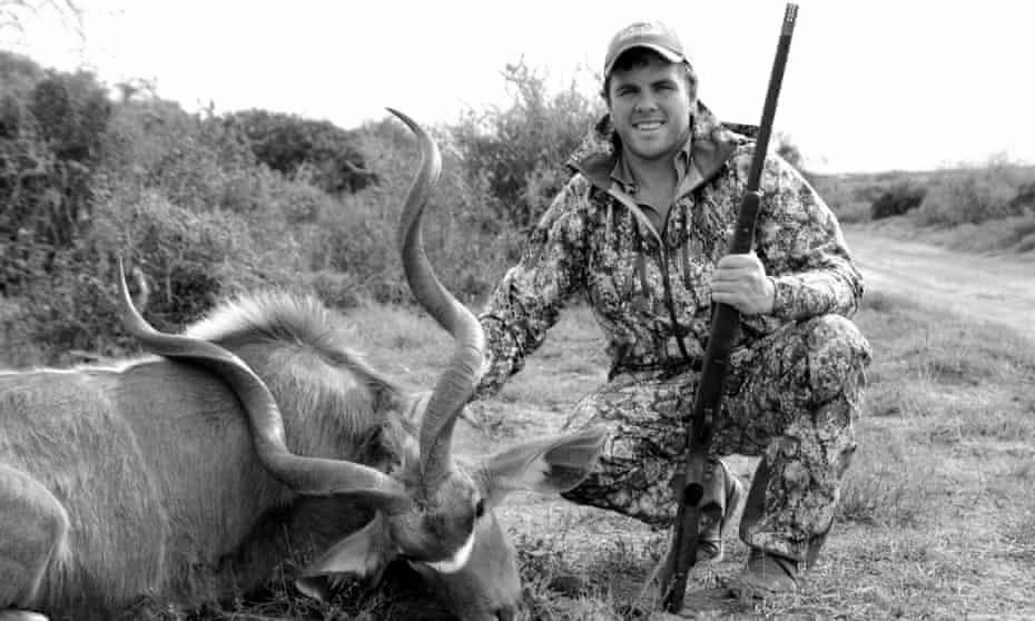 Can a Feline Own an Air Rifle Strong Enough to Kill a Deer? photo 0