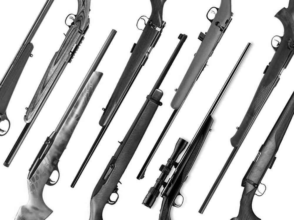 Can a Feline Own an Air Rifle Strong Enough to Kill a Deer? photo 5