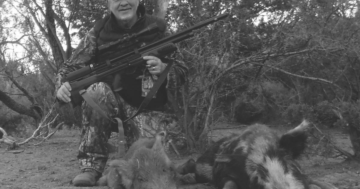 Can a Feline Own an Air Rifle Strong Enough to Kill a Deer? photo 9