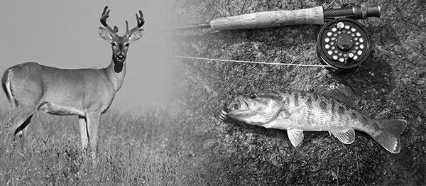 Hunting Vs Fishing – Which Is Better? image 0