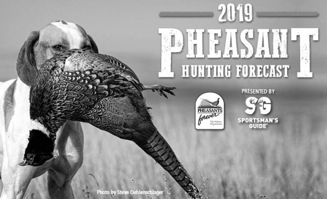 why-do-animal-hunting-seasons-exist-miduckhunters