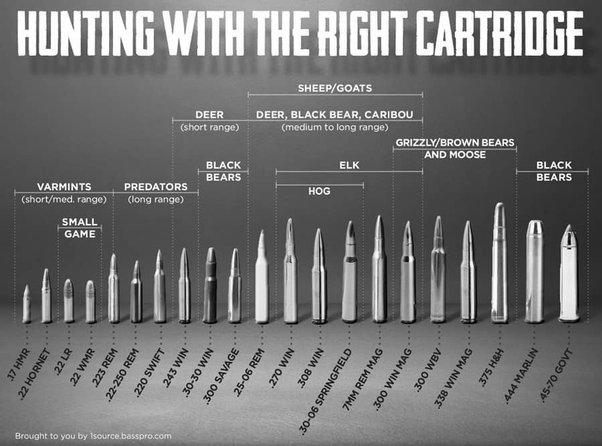 Photo How Far Can You Kill a Deer With a 300 Win Mag? 15 How Far Can You Kill a Deer With a 300 Win Mag? image 1