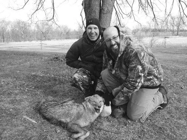 Tips For Hunting Coyotes in Ohio photo 0