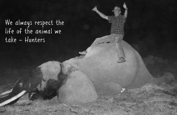 Do Hunters Respect the Animals? image 0