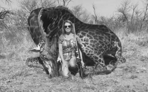 The Difference Between Hunting and Trophy Hunting photo 1