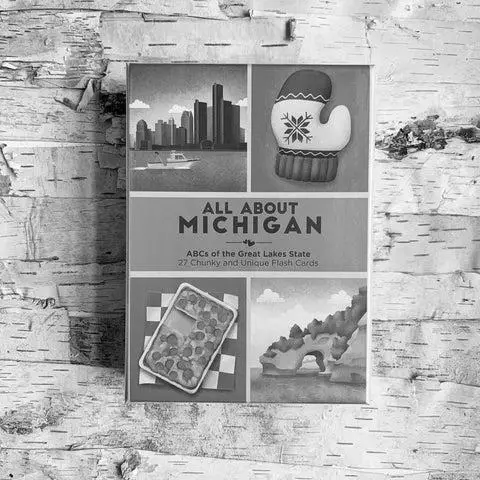 What Makes Michigan So Special? image 1