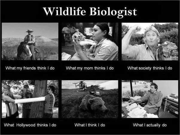 How Hard Is It To Get A Job In Wildlife Conservation? image 0