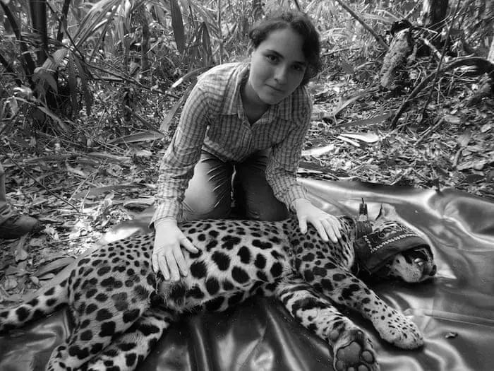 How Hard Is It To Get A Job In Wildlife Conservation? image 1